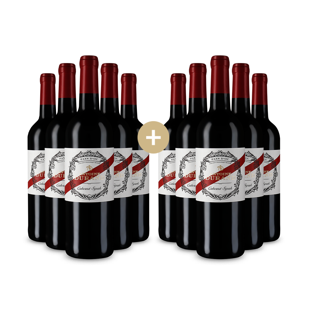 5+5 palack Cabernet Syrah 2023 – Gold