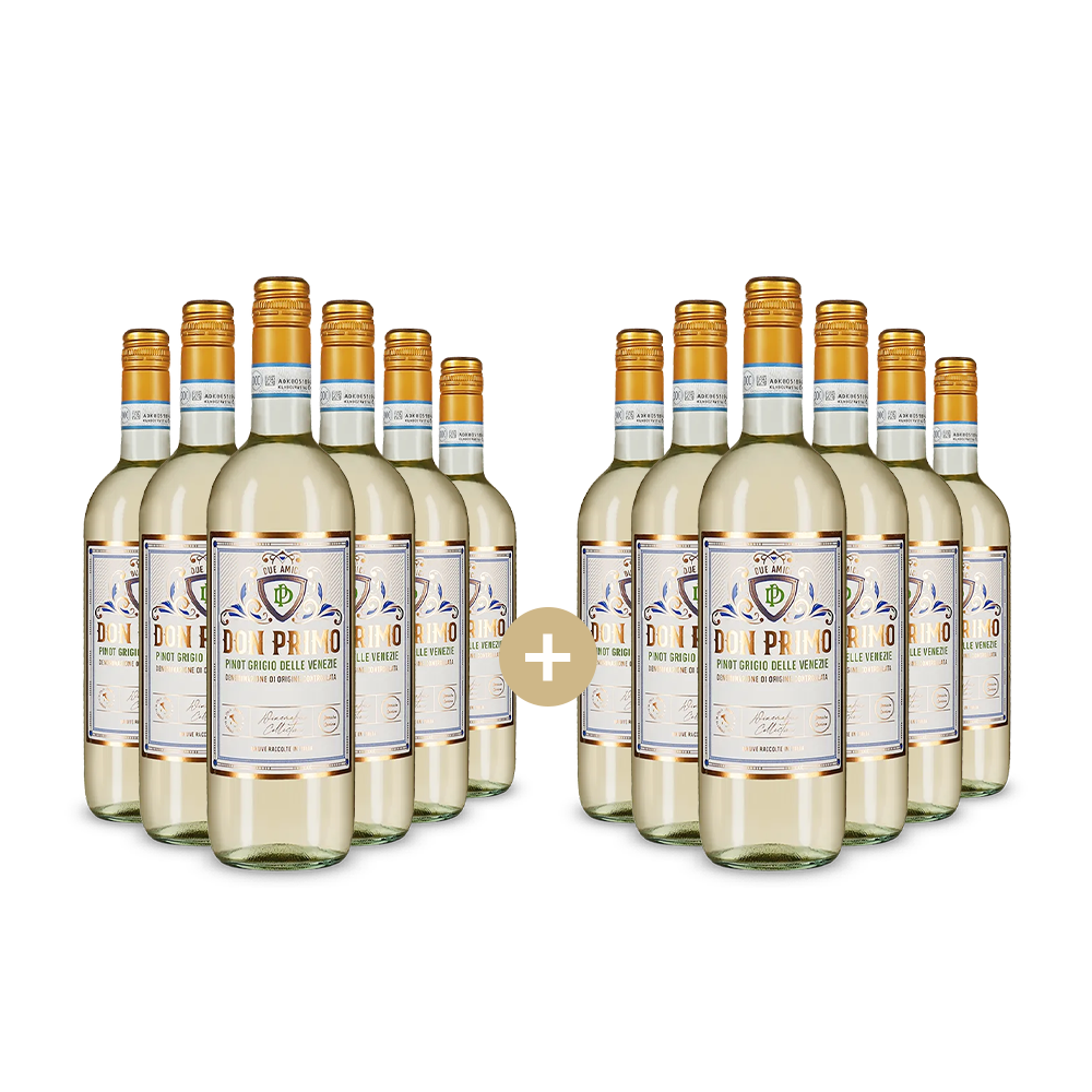 6+6 palack Pinot Grigio delle Venezie 2024 – Gold