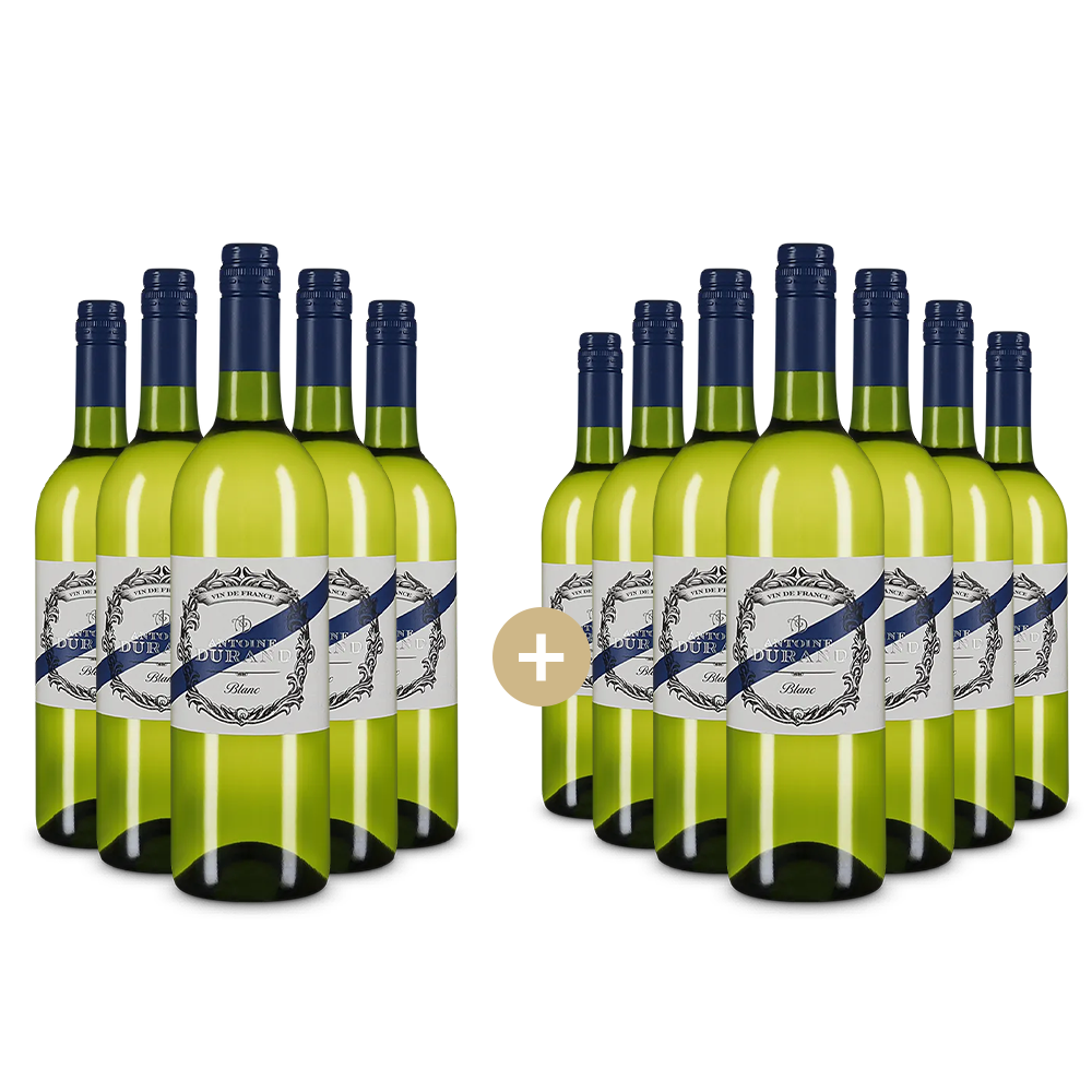 5+7 palack Blanc 2024 – Gold