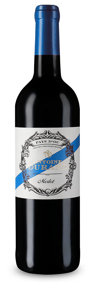 Merlot 2024