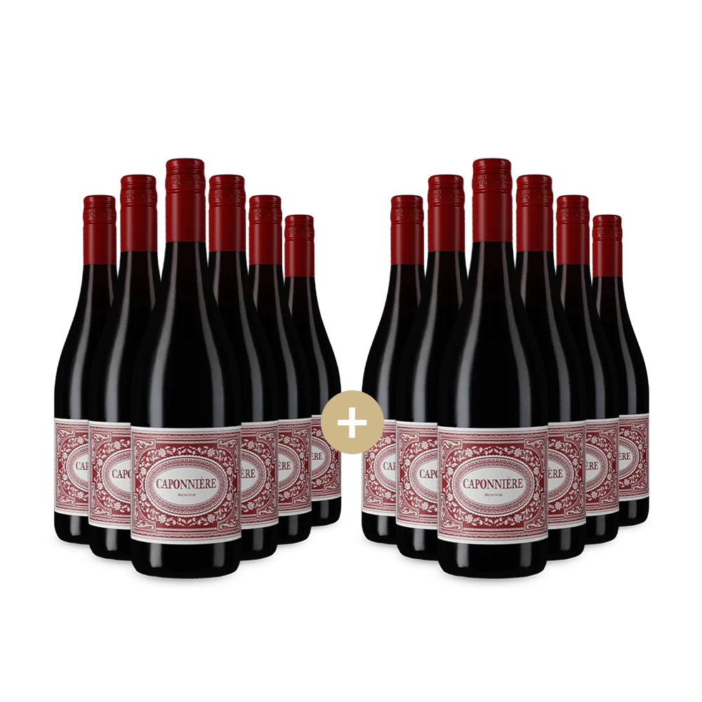 6+6 palack Rouge 2023 – Gold