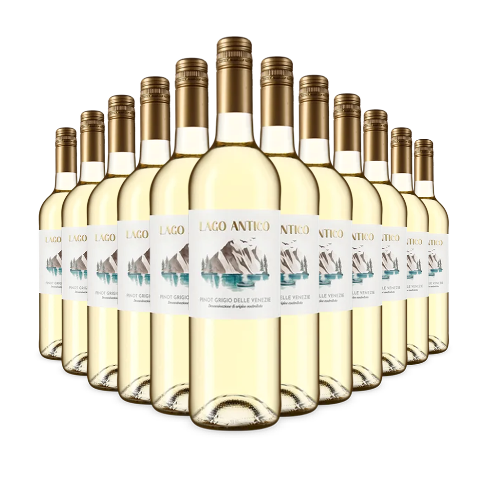 12 palack Pinot Grigio delle Venezie 2024 – Gold