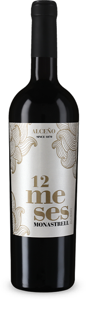 12 meses TW Monastrell