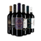 Puglia primitivo borainak legjobbjai – Gold