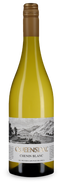 Queensdal Chenin Blanc 2024 – Az év bora