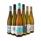 Riesling-sztárok 6-os csomagban – Gold