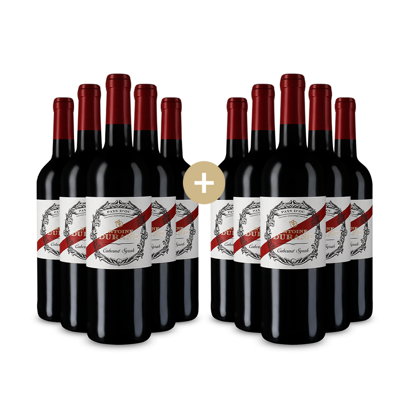 5+5 palack Cabernet Syrah 2023 – Gold