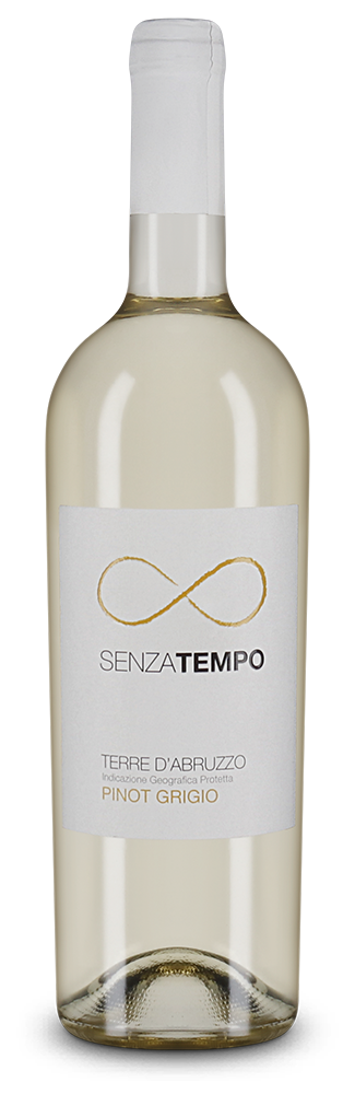 Cantina Tollo Senza Tempo Pinot Grigio 2024 – Gold