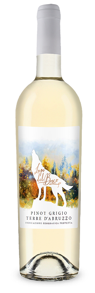 Lupo del Bosco Pinot Grigio 2024 – Gold