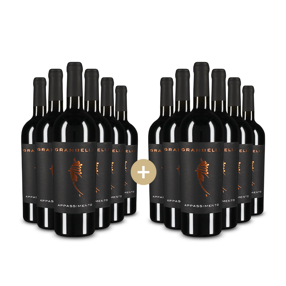 6+6 palack Appassimento Puglia 2024 – Gold