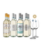 Aranyérmes pinot grigio sztárok 4x2-es csomagban + 2 borospohár – Gold