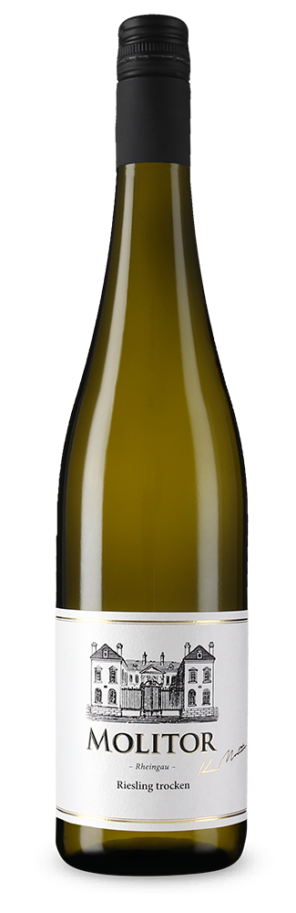 Molitor Rheingau Riesling 2024 – Gold