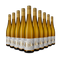 10 palack Riesling 2024 – Gold