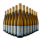 12 palack Riesling 2024 – Gold