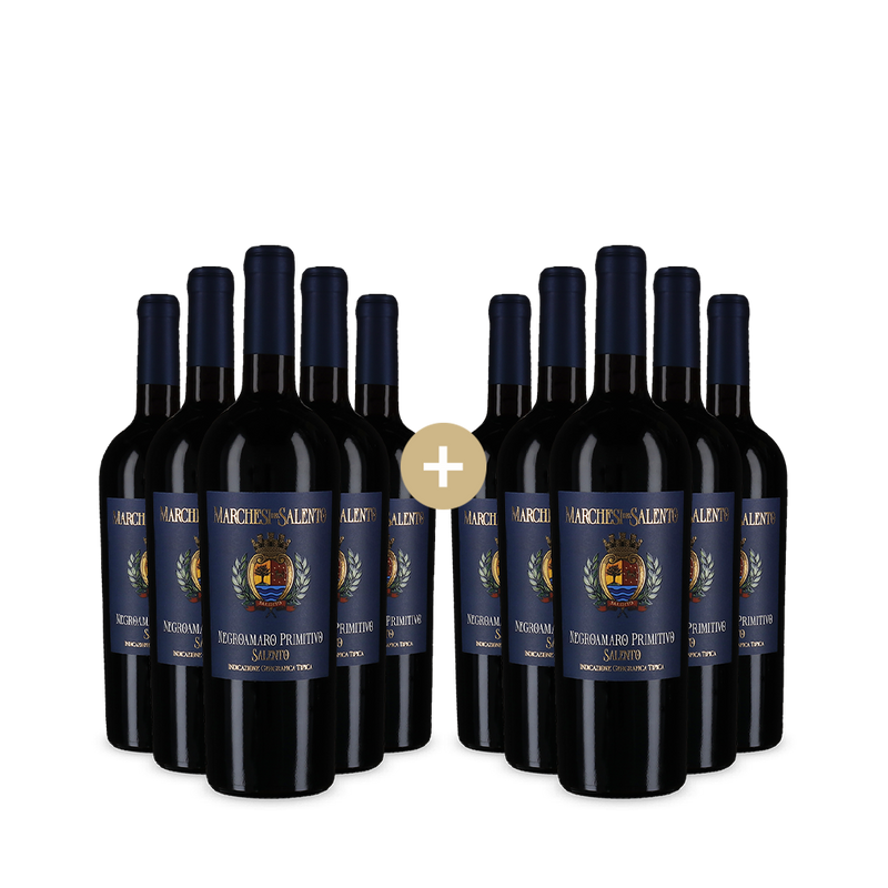 5+5 palack Negroamaro Primitivo 2024 – Gold