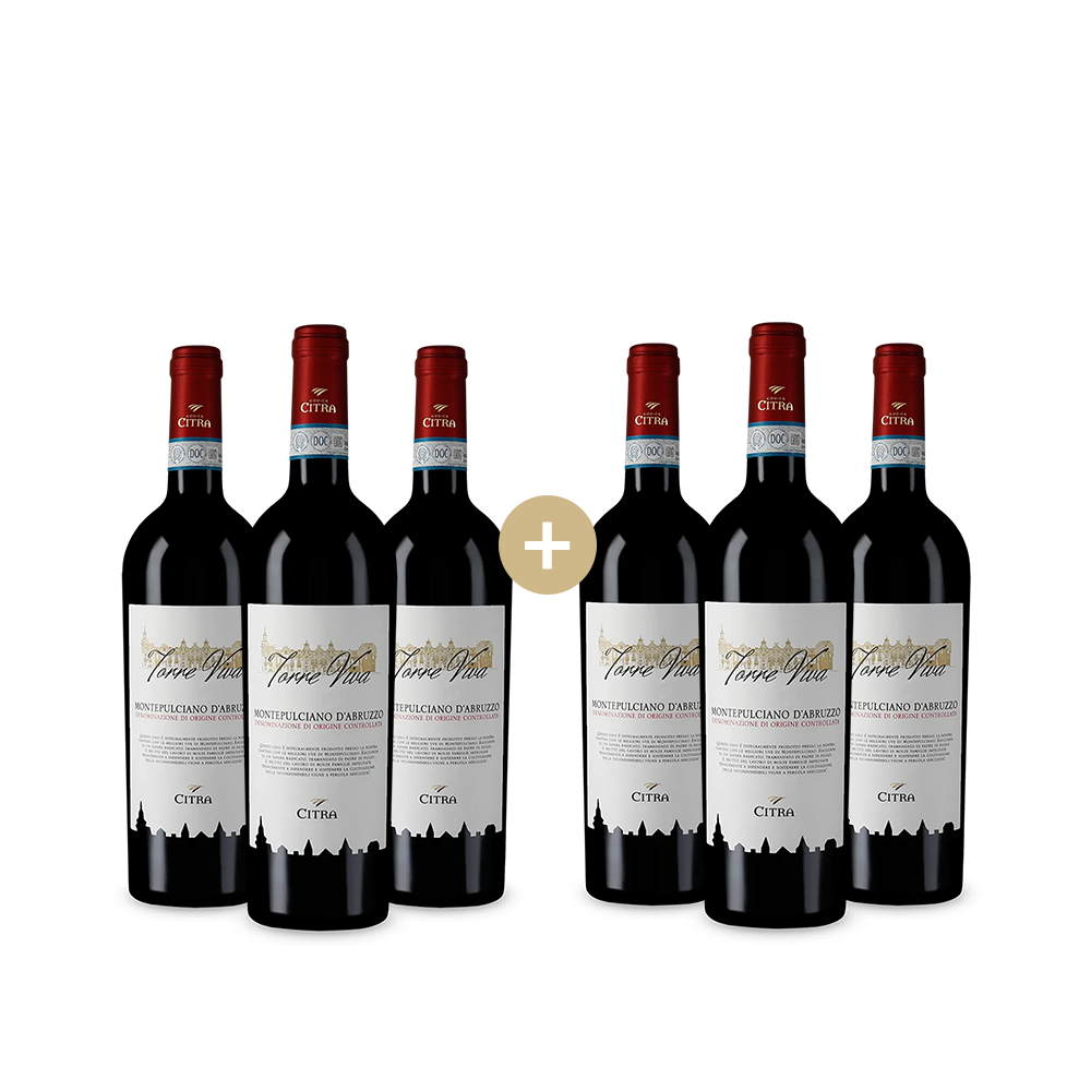 3+3 palack Torre Viva Montepulciano d'Abruzzo 2024 – Gold