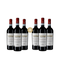 3+3 palack Torre Viva Montepulciano d'Abruzzo 2024 – Gold