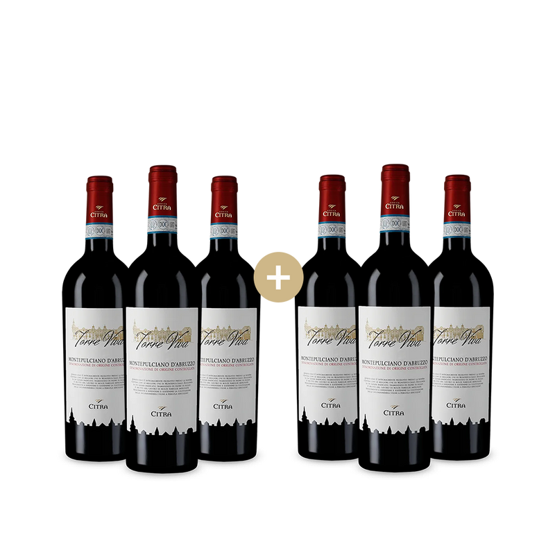 3+3 palack Torre Viva Montepulciano d'Abruzzo 2024 – Gold
