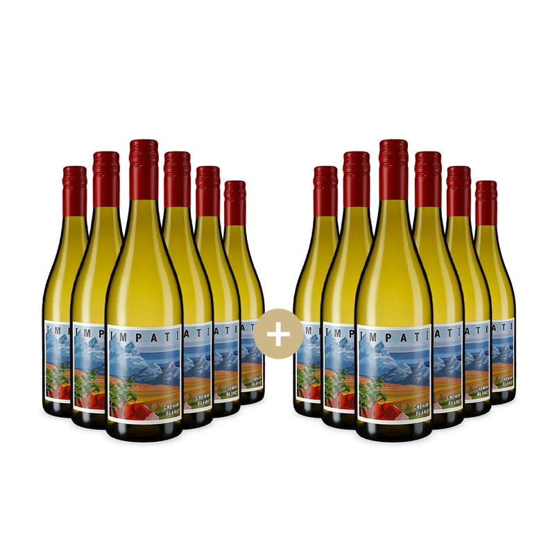 6+6 palack Chenin Blanc 2024 – Gold