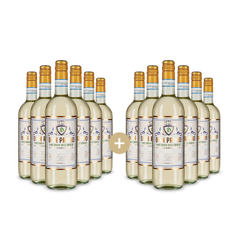 6+6 palack Pinot Grigio delle Venezie 2024 – Gold