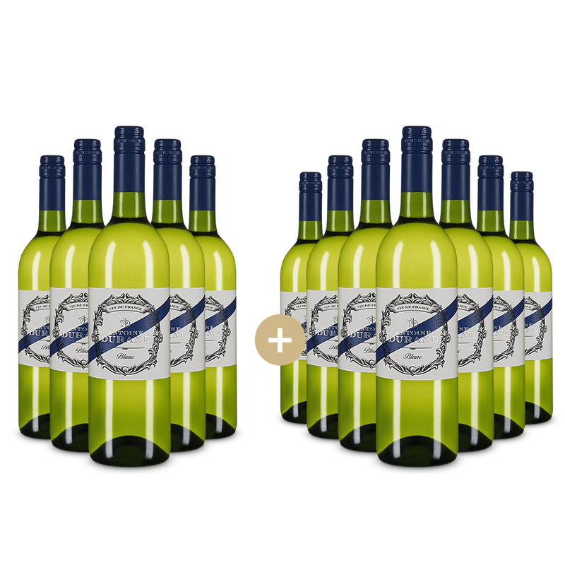 5+7 palack Blanc 2024 – Gold