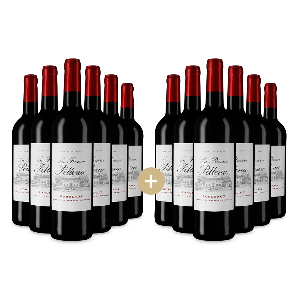 6+6 palack Bordeaux 2021 – Gold