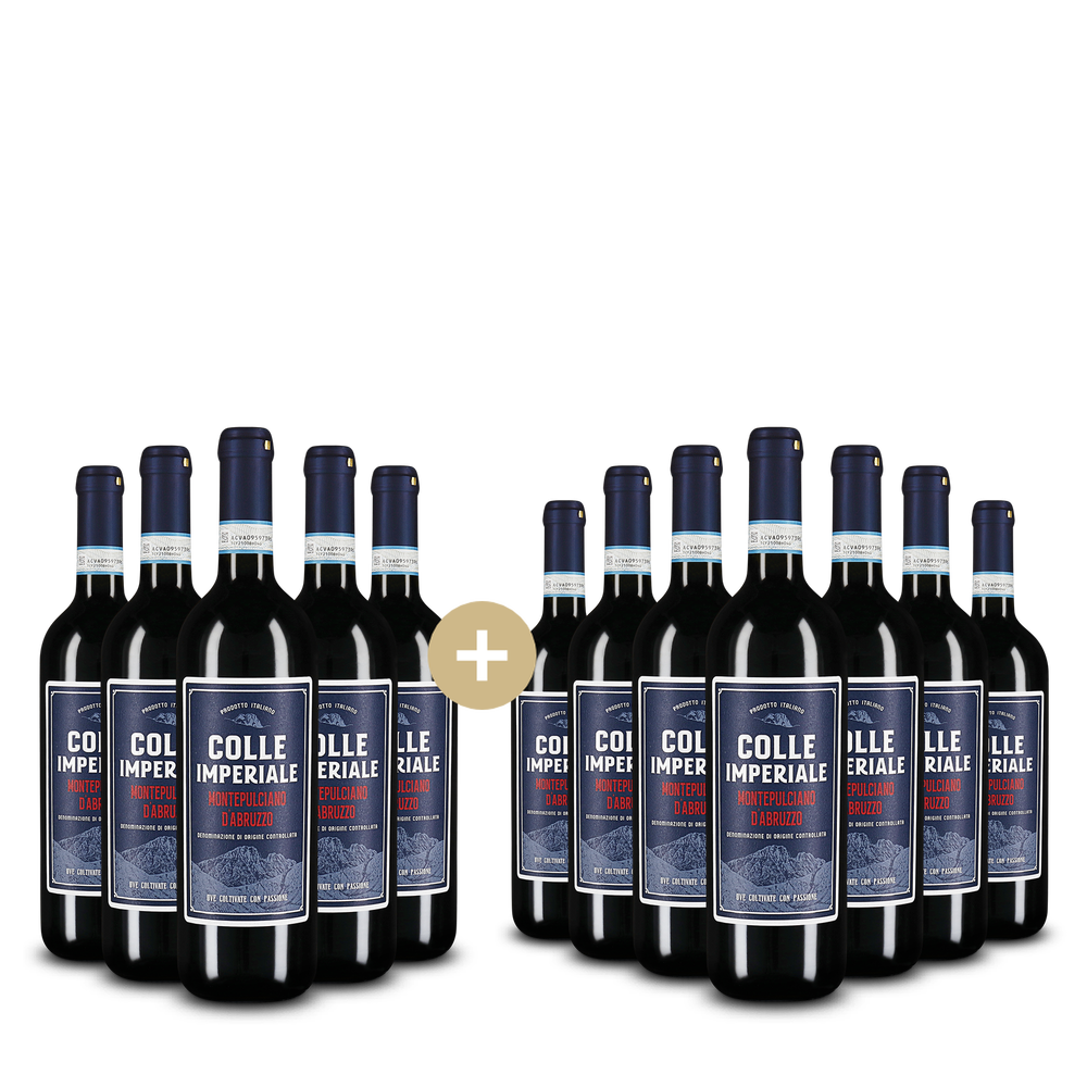 5+7 palack Montepulciano d'Abruzzo 2024