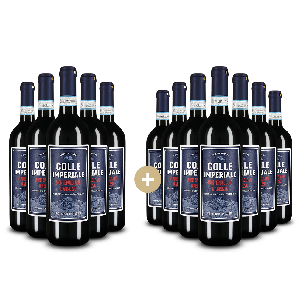 5+7 palack Montepulciano d'Abruzzo 2024 – Gold