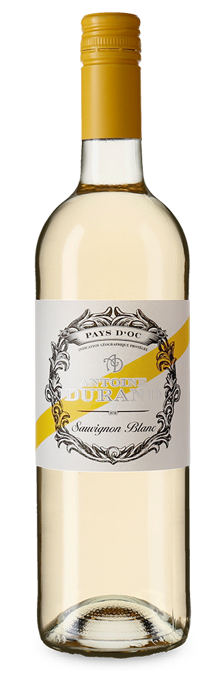 Sauvignon Blanc 2024