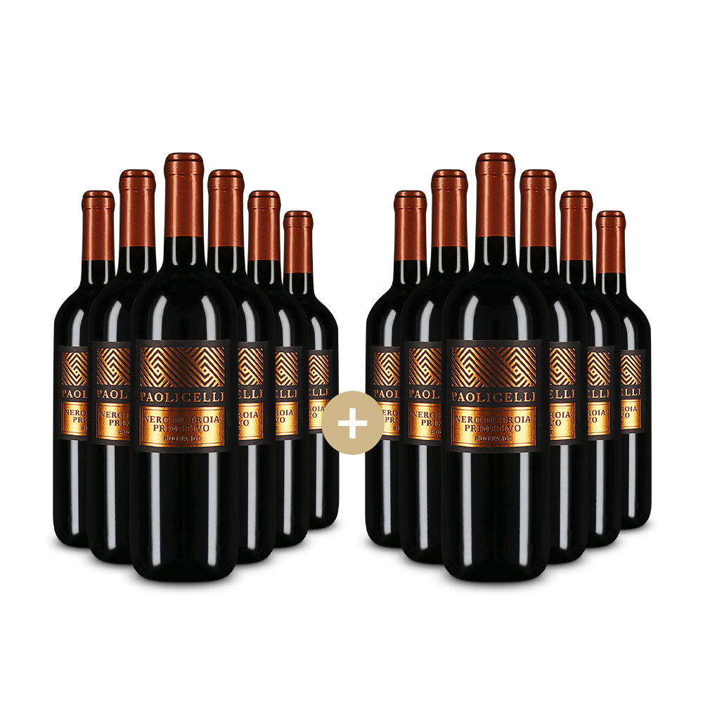 6+6 palack Paolicelli Nero di Troia Primitivo 2024 – Gold