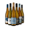 Exkluzív rieslingslágerek 6-os csomagban – Gold