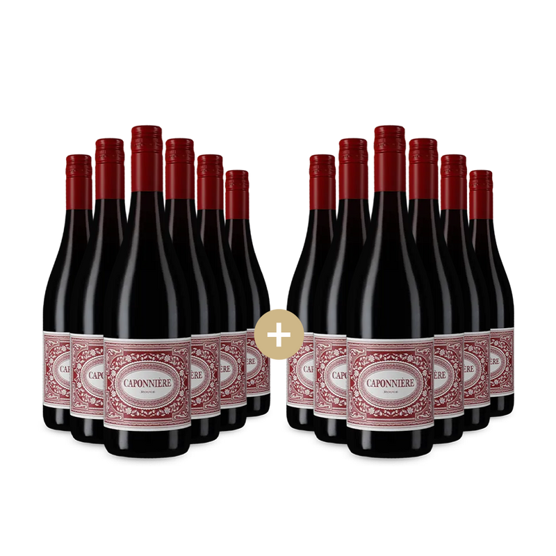 6+6 palack Rouge 2023 – Gold