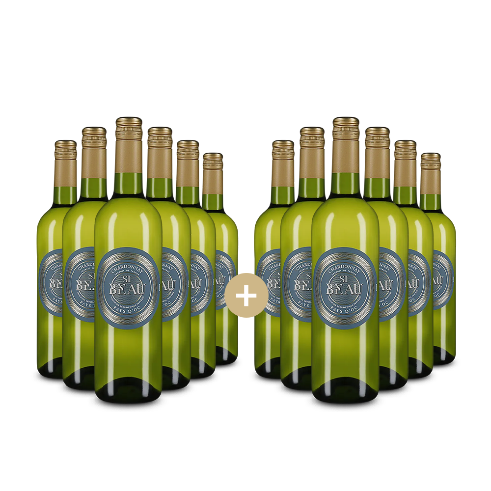 6+6 palack Chardonnay 2024 – Gold