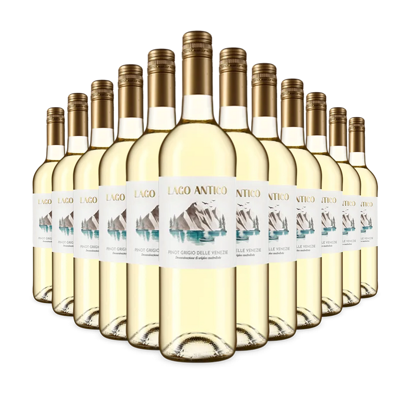 12 palack Pinot Grigio delle Venezie 2024 – Gold