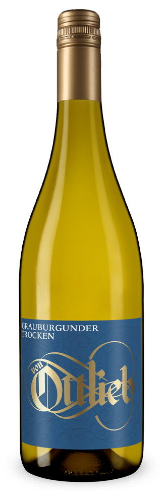 Szürkebarát 2025