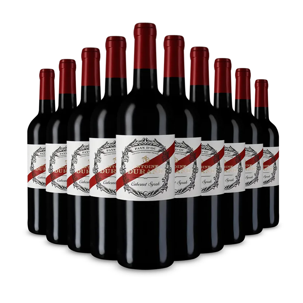 10 palack Cabernet Syrah 2024