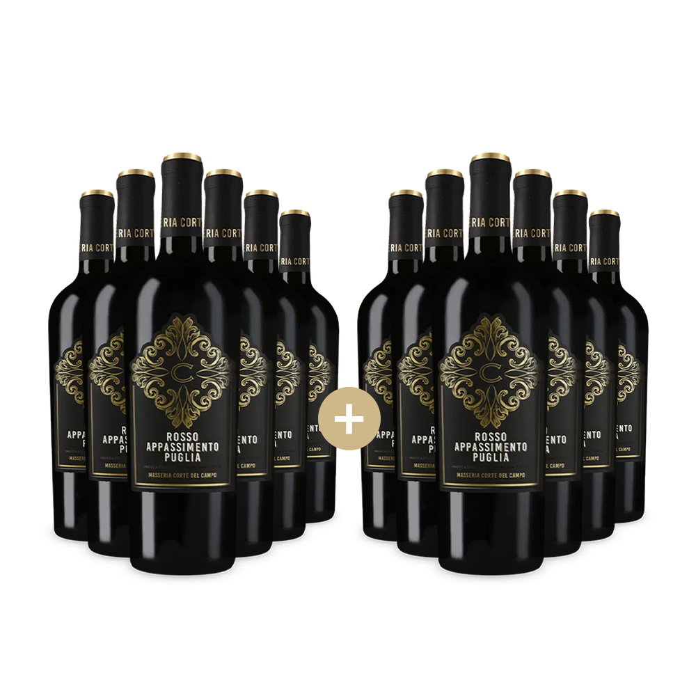 6+6 palack Rosso Appassimento Puglia 2023 – Gold