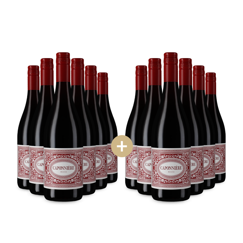 6+6 palack Rouge 2024 – Gold