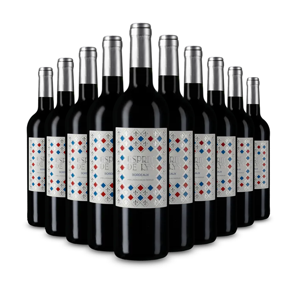 10 palack Bordeaux 2020