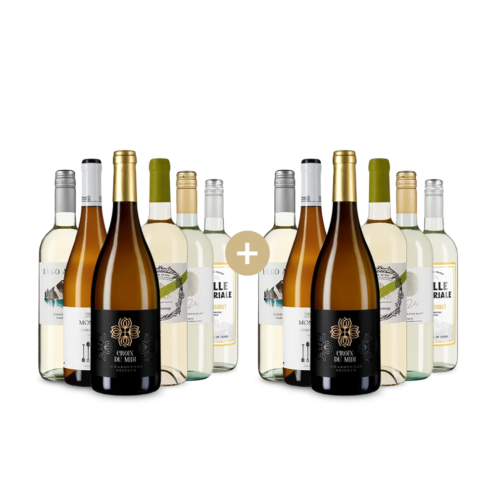 6+6 palack dél-európai chardonnay sláger – Gold