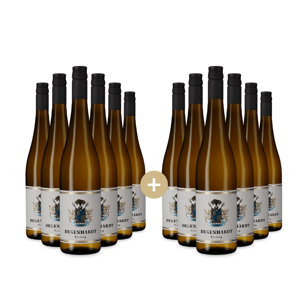 6+6 palack Riesling 2024 – Gold