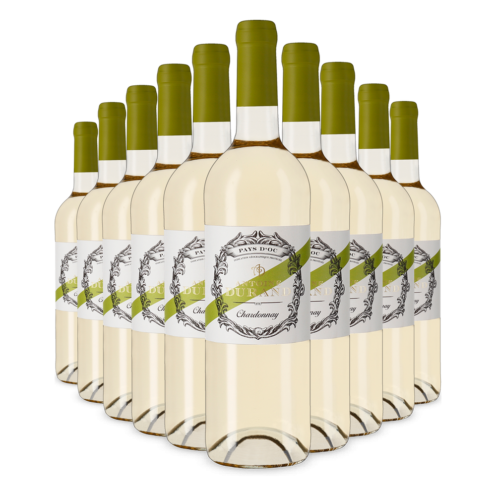 10 palack Chardonnay 2025