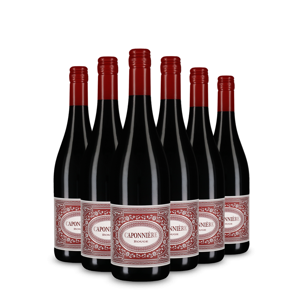 6x Rouge 2024