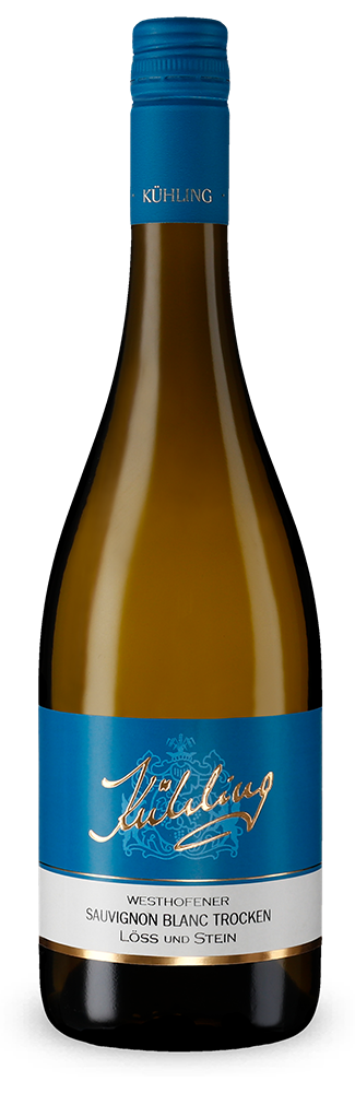 Westhofener Sauvignon Blanc Löss und Stein 2025