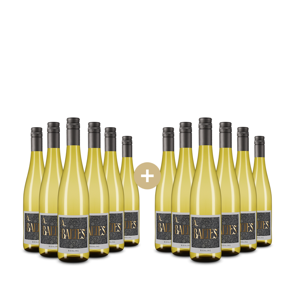 6+6 palack Riesling 2025