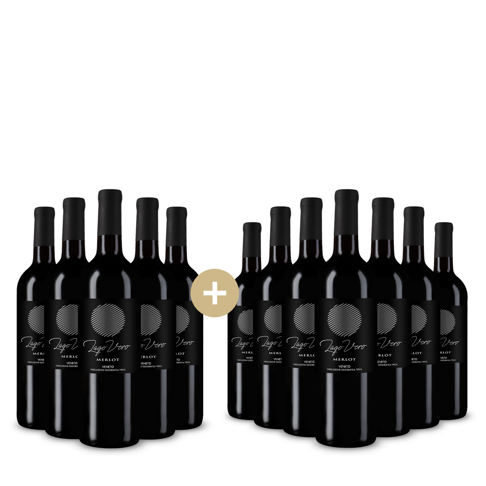 5+7 palack Merlot Veneto 2025