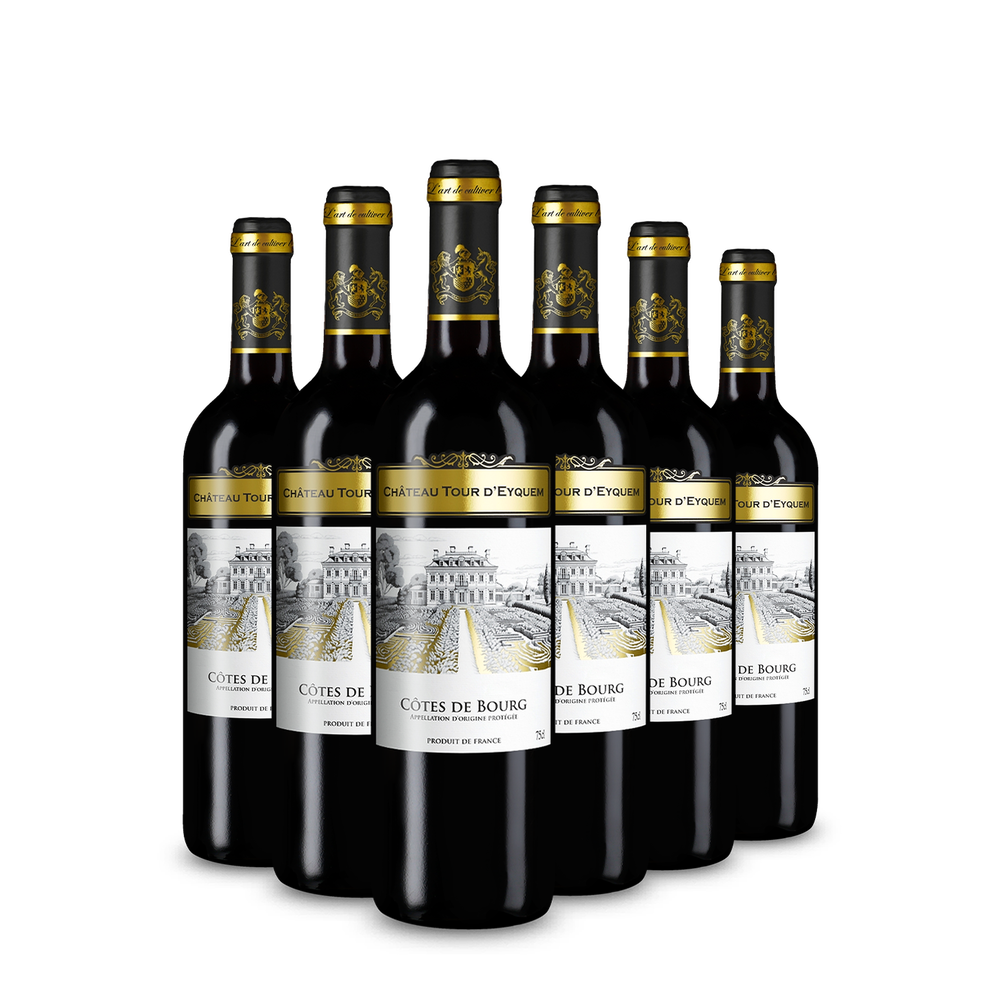 6 palack Côtes de Bourg 2022