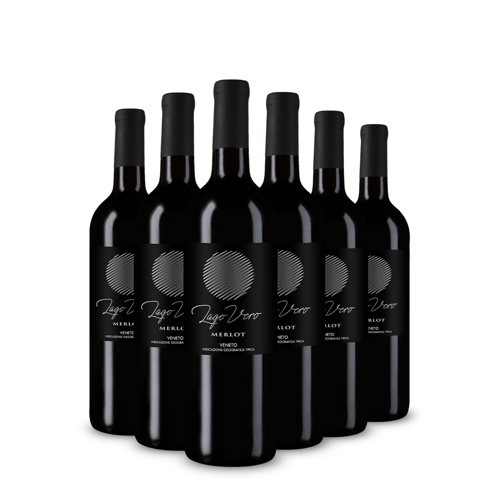6 palack Merlot Veneto 2025